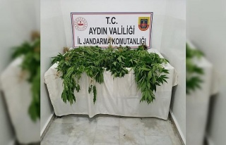 1 haftada 222 gram uyuşturucu ele geçirildi