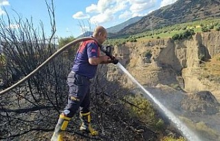 Aydın’da arazi yangını kontrol altına alındı
