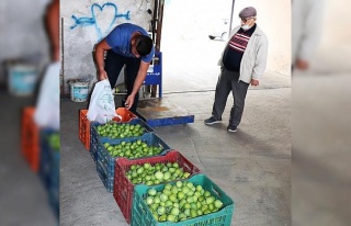 Aydın’da ilek alım satımı başladı