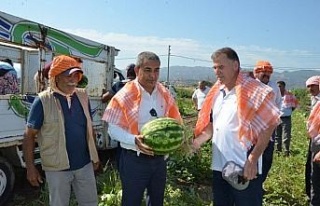 Başkan Kaplan’dan ‘Cincin Karpuzu’ için markalaşma...