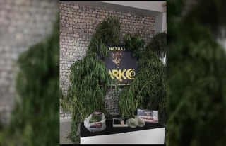 Bozdoğan’da uyuşturucu operasyonu