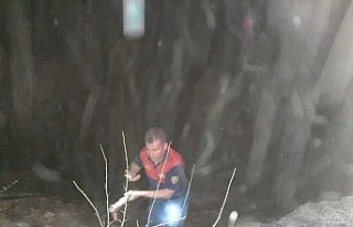 Karpuzlu’da çalılık yangını