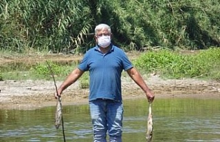 Menderes’teki balık ölümleri endişelendirdi