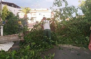 Nazilli Belediyesi’nden anında müdahale
