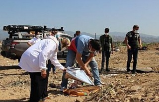 Nazilli’de can dostlar için hafta sonu mesaisi