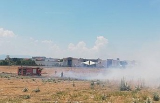 Otluk alanda çıkan yangın korkuttu