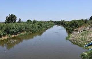 Söke Ovası’nın can damarı Büyük Menderes suya...