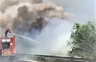 Söke’de karayolu kenarındaki yangın korkuttu