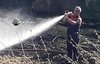 Ateş savaşçılarının hızlı müdahalesi, zeytin...