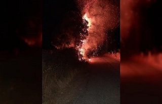 Aydın alevlere teslim oldu, gecenin karanlığını...