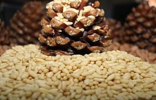 Aydın Ticaret Borsası, Aydın’ın ürünlerini...