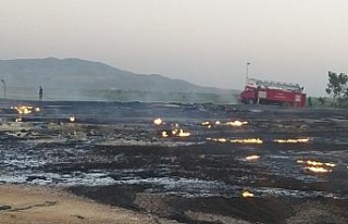 Aydın’da biyogaz tesislerinde yangın