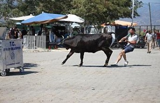 Aydın’daki kurban pazarı eski günleri arattı