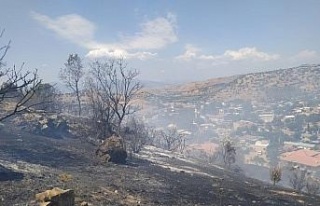 Çakırbeyli’deki yangın söndürüldü