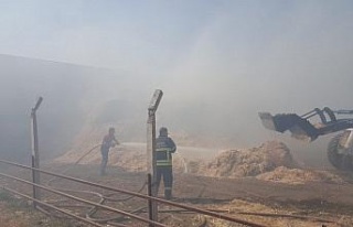 Çine ve Efeler’deki yangınlara büyükşehir itfaiyesi...