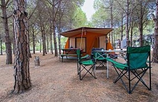 Didim Belediyesi, orman kampının ihalesini yeniden...