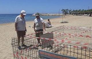 Didim’de 1 yıl aradan sonra Carettalar yumurta...