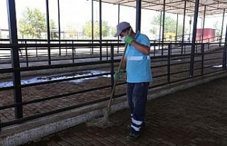 Efeler Belediyesi kurban pazarlarını bayrama hazırlıyor