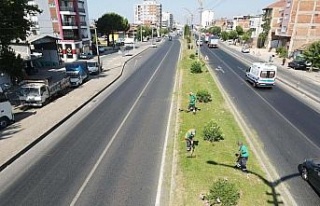 Efeler Belediyesi’nden refüj temizliği