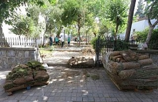 Efeler’de parklar yeşilleniyor