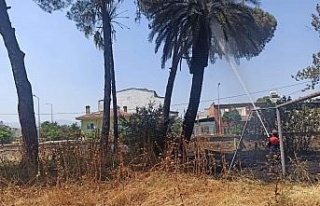 Erken müdahale faciayı önledi