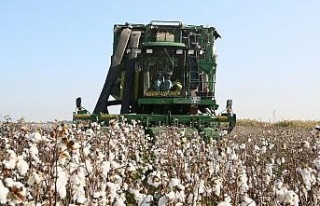 İl Tarım ve Orman Müdürü Ökdem; “Söke’de...