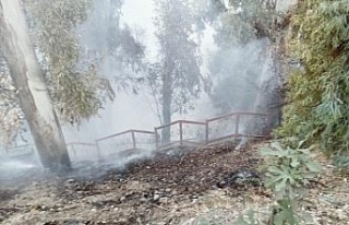 İtfaiyenin hızlı müdahalesi, yangının büyümesini...