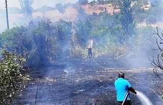 Karacasu’daki arazi yangını kontrol altına alındı