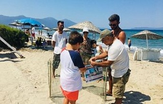 Kuşadası sahillerine Caretta Carettalar yuva yaptı