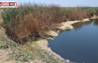 MENDERES NEHRİ’NİN AĞLAYAN YÜZÜ