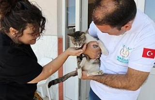 Nazilli’de can dostlar yalnız bırakılmıyor