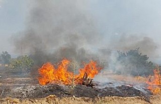 Nazilli’de tarım arazisi yangını