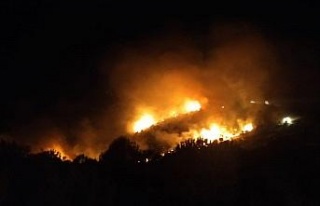 Nazilli’deki orman yangınını söndürme çalışmaları...