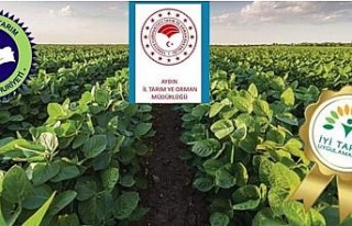 Aydınlı üreticilere müjde, destek ödemeleri başladı