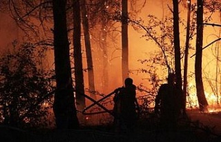 Başkan Atabay: “Akbük için yangın tehlikesi...