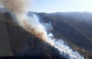 Bozdoğan’da orman yangını