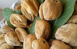 Buharkent Ziraat Odası Başkanı Özdamar’dan uyarı;...