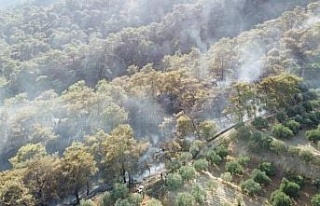 Buharkent’teki orman yangını kontrol altına alındı