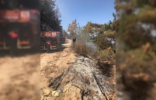 Büyükşehir Çine’de mücadelesini sürdürüyor