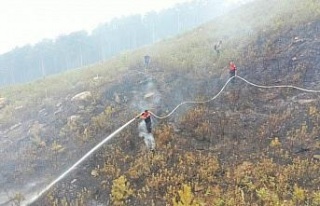 Büyükşehir itfaiyesi orman yangınları ile mücadele...