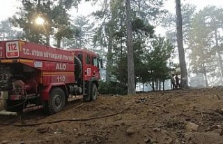 Büyükşehir, Karacasu’daki yangına tüm gücüyle...