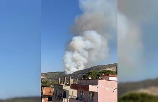 Çine’de orman yangını