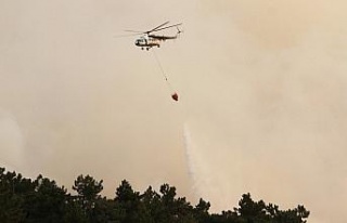 Çine’deki orman yangınına 12 helikopter ile müdahale...