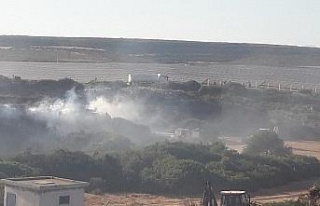 Didim’de makilik alanda çıkan yangın korkuttu.