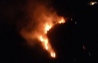 Didim’deki yangın Akbük’e sıçramadan kontrol...