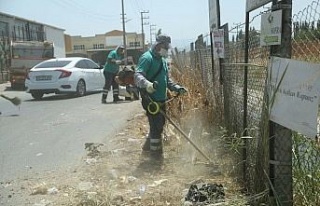 Gıda Çarşı’nda temizlik ve bakım çalışması...