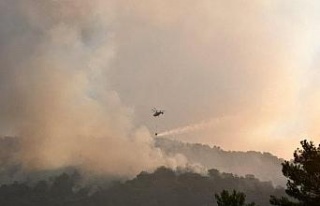 Nazilli’deki yangın kontrol altına alındı