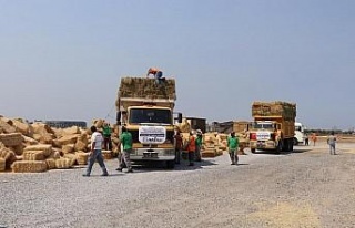 Nazilli’den toplanan yardımlar Manavgat’a ulaştı