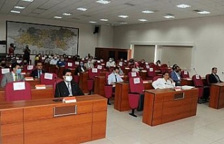 Rektör Aldemir, kadına karşı şiddet toplantısına...