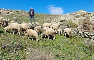 Aydın’da eski hükümlüler patron oldu